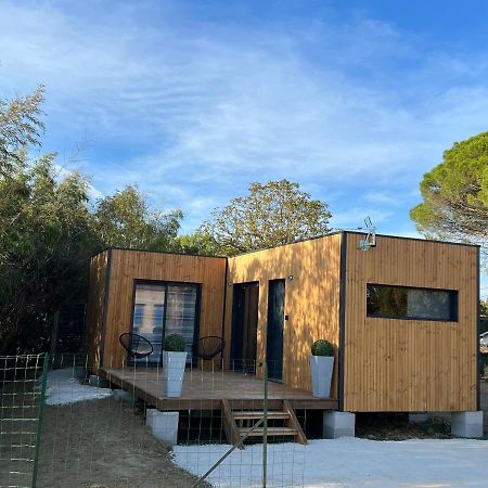 Chalet Contemporain Монтобан Екстериор снимка
